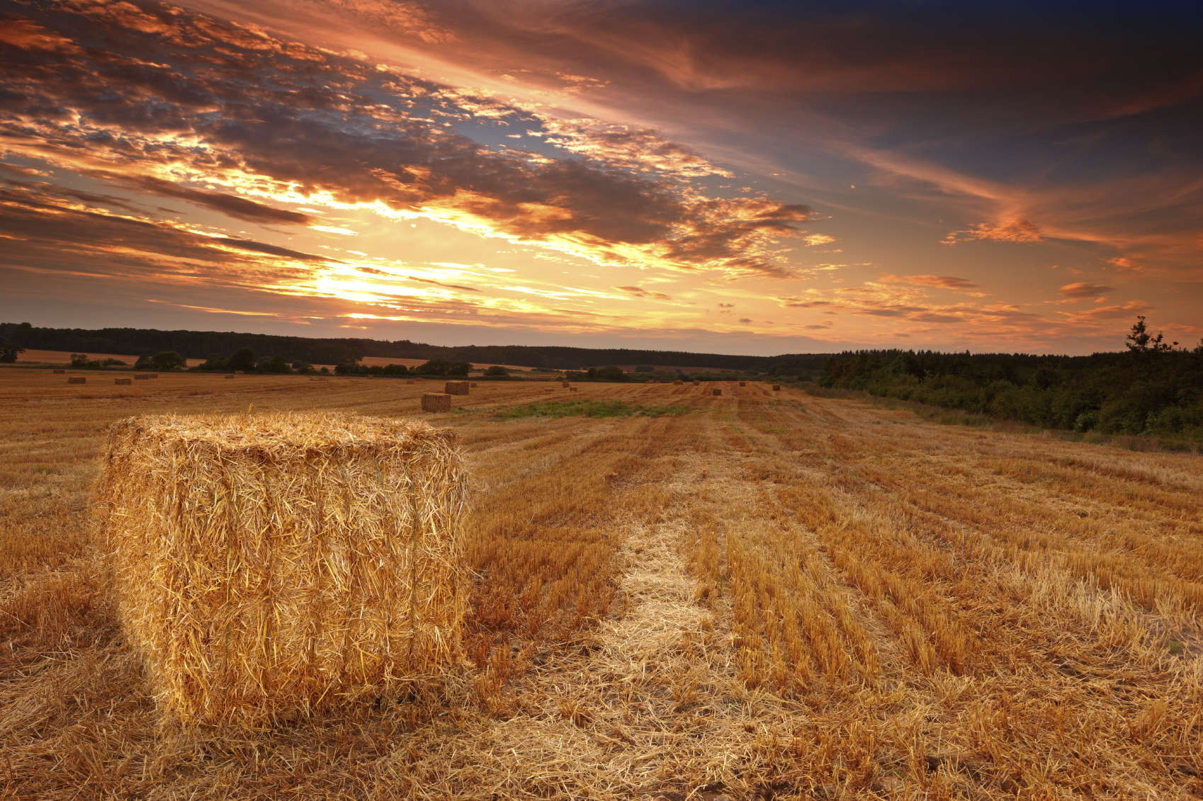 4 ways to make more retirement hay while the sun shines