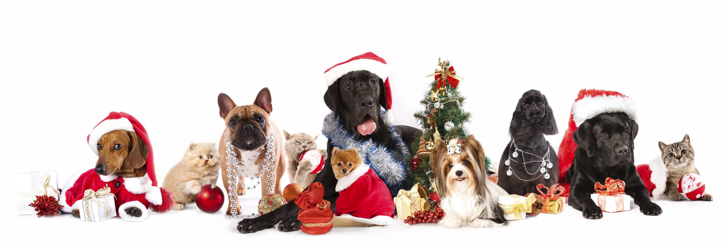 How To Save Money For The Holiday Season In A Month