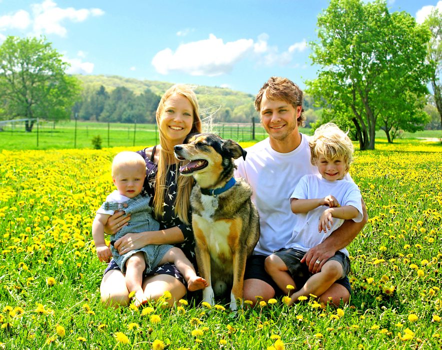 Money and other family values