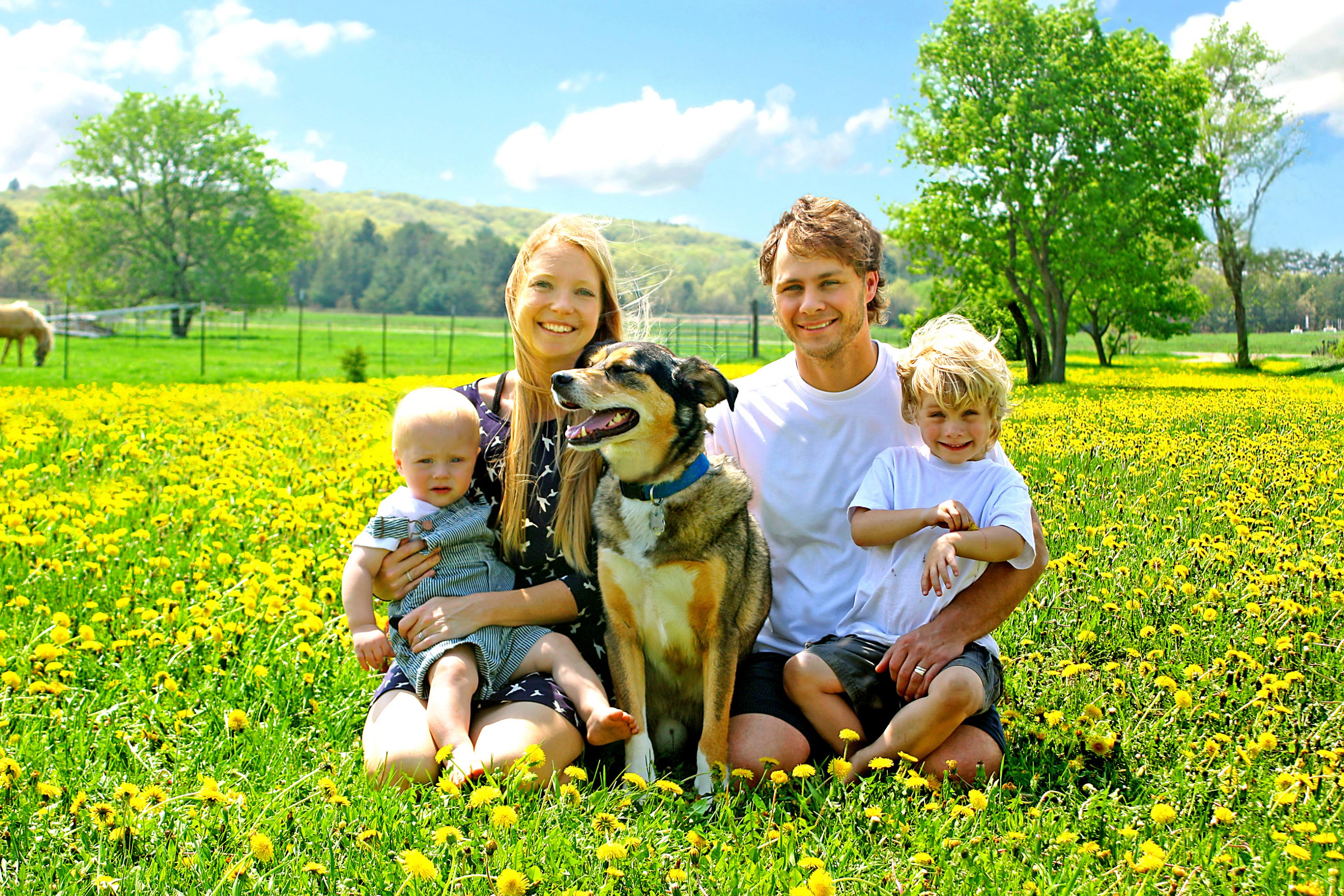 Money and other family values