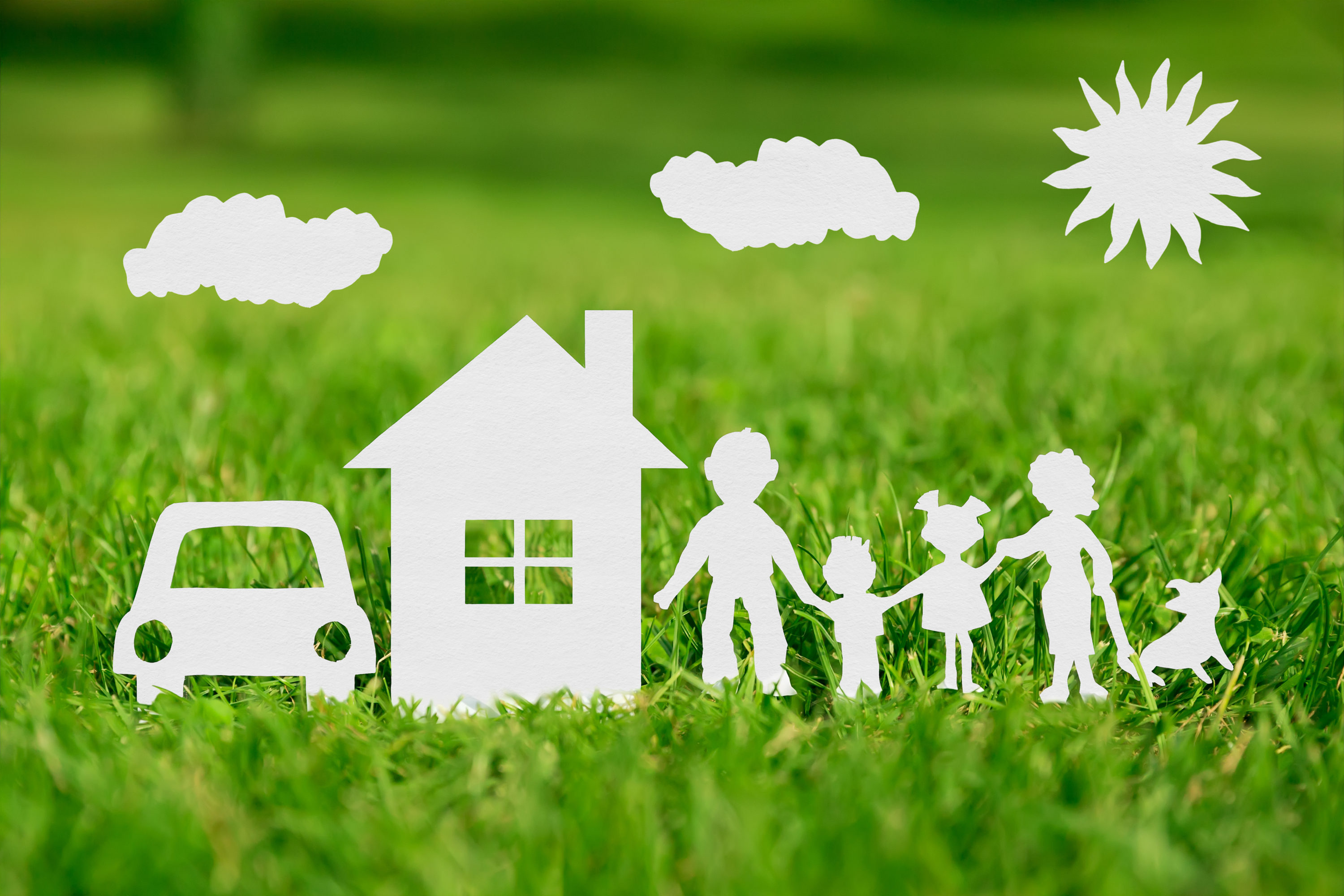 Troubleshooting family finances