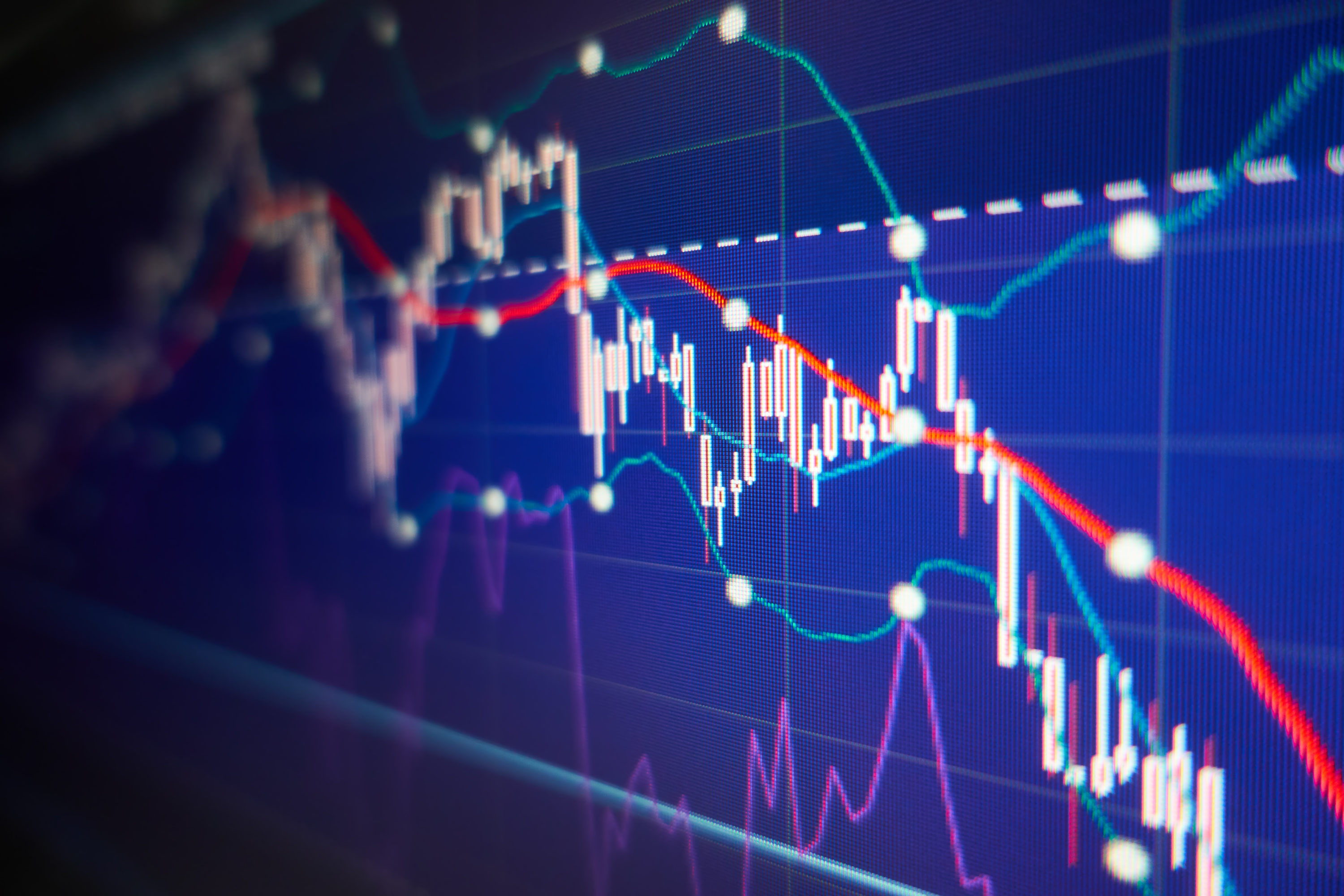 Weekly Market Update 16 August 2019